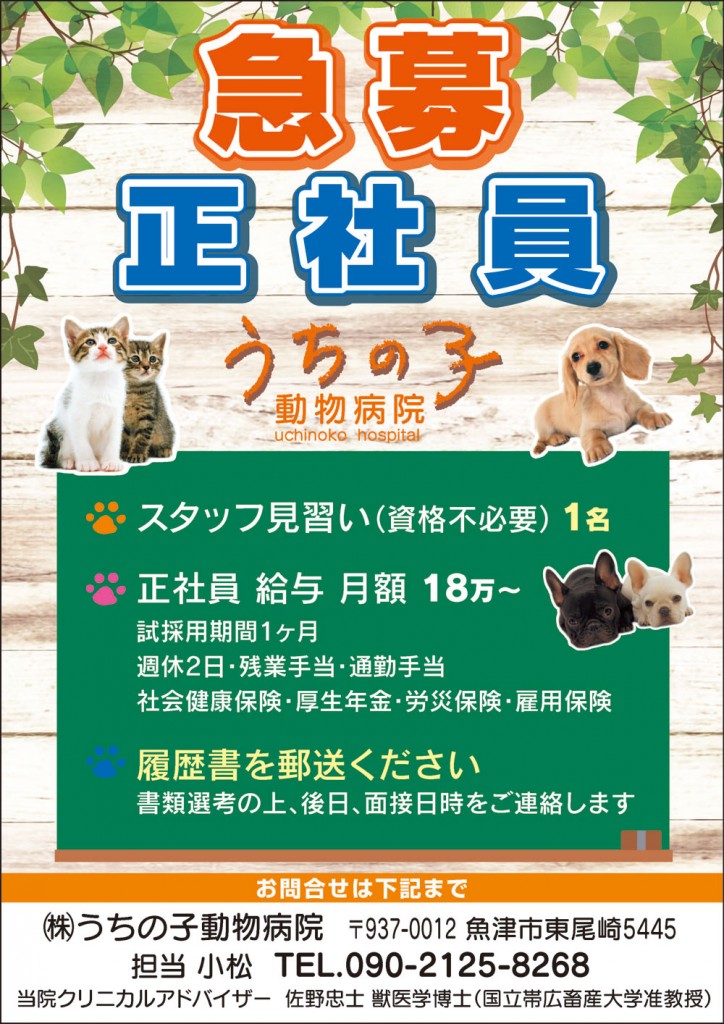 うちの子動物病院　正社員急募！