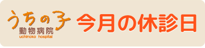 今月の休診日